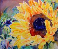 Florals - Sunburst - Watercolor