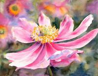 Florals - Pink Anemone - Watercolor